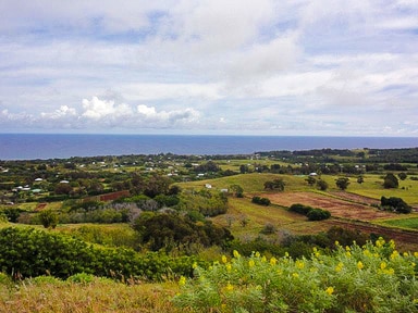 Vista de Puna Pau