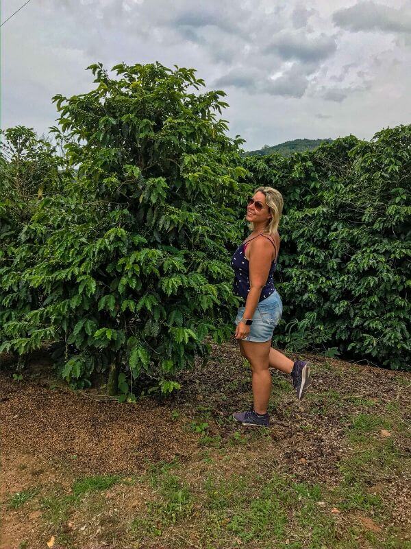 Fazenda 7 Senhoras produtora de café em Socorro