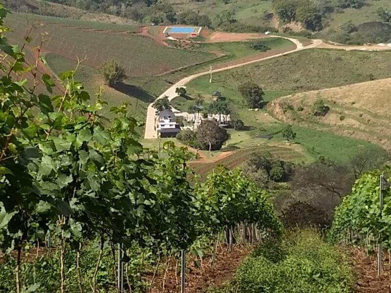 Vista da vinícola Santa Maria