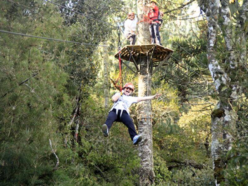 Menino descendo em tirolesa em meio a árvores