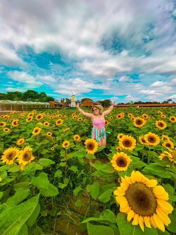 Campos de flores Holambra - menina pulando com girassóis