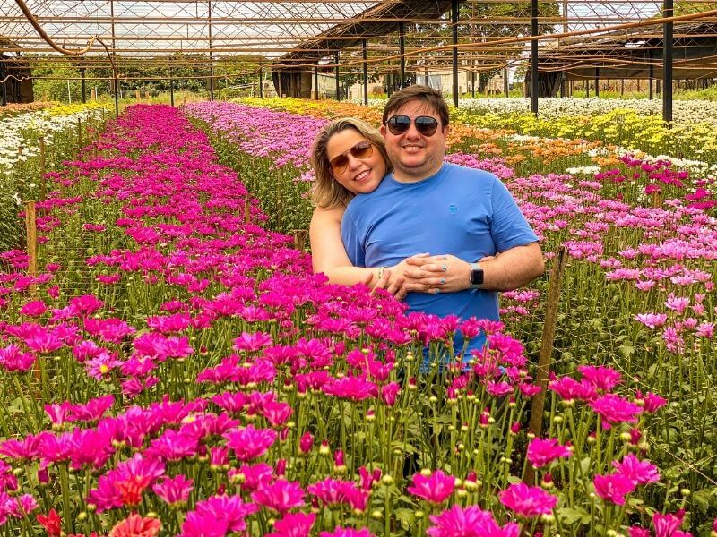 Estufa com flores coloridas nos campos de flores Holambra