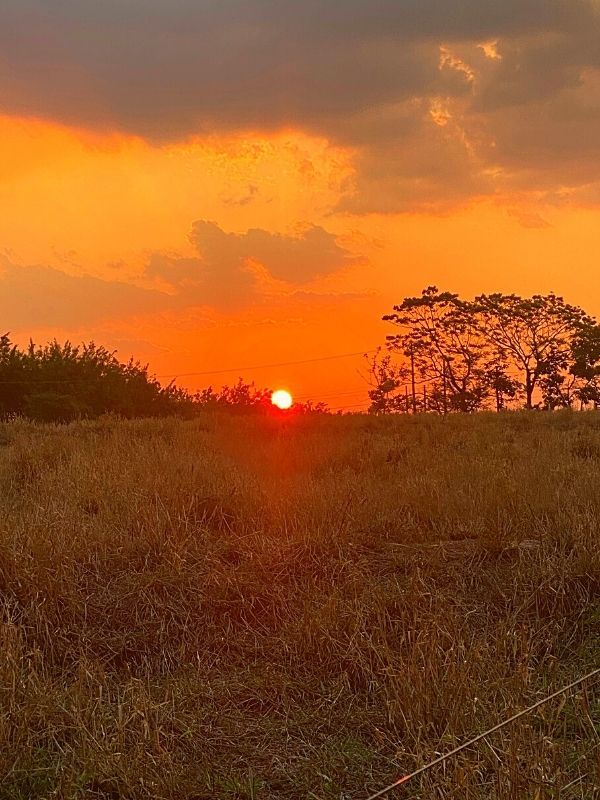 Pôr do sol na natureza em SP - Rancho da Cachaça