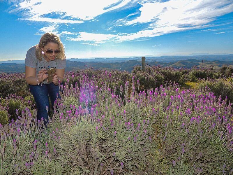 O que fazer em Cunha SP: um campo de lavandas com uma moça tirando foto